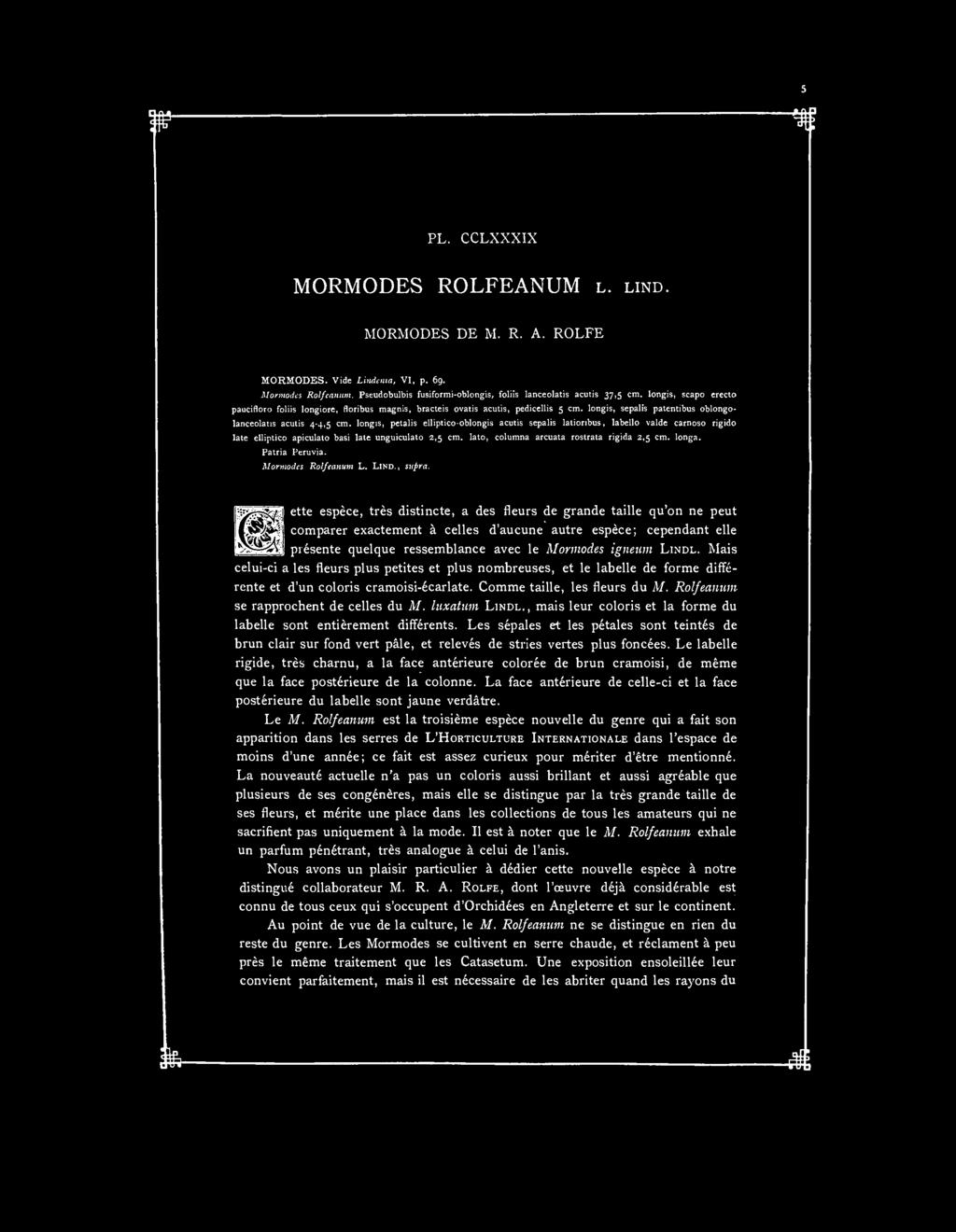 PL. CCLXXXIX MORMODES ROLFEANUM L. LIND. MORMODES DE M. R. A. ROLFE MORMODES. Vide Lindenta, VI, p. 69. Mormodes Rolfeanum. Pseudobulbis fusiformi-oblongis, foliis lanceolatis acutis 37,5 cm.