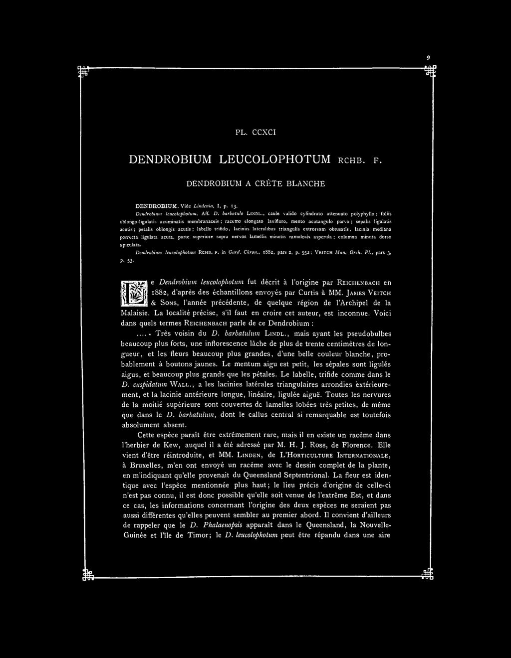 PL. CCXCI DENDROBIUM LEUCOLOPHOTUM RCHB. F. DENDROBIUM A CRÊTE BLANCHE DENDROBIUM. Vide Lindenia, I, p. 13. Dendrobinm ïeucolophotum. AfT. D. barbatulo LINDL.