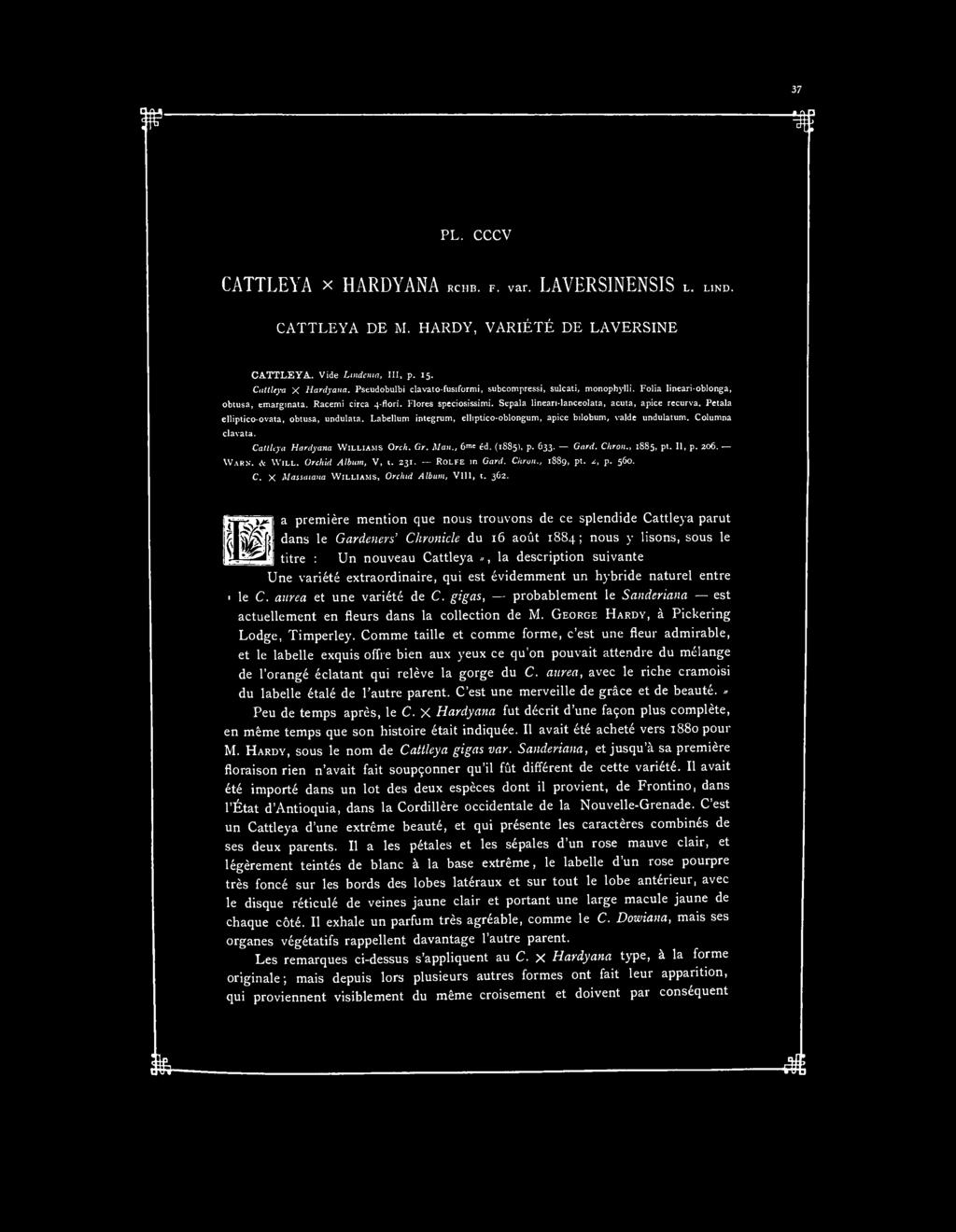 PL. CCCV CATTLEYA x HARDYANA RCHB. F. var. LAVERSINENSIS L. LIND. CATTLEYA DE M. HARDY, VARIÉTÉ DE LAVERSINE CATTLEYA. Vide Lindenia, III, p. 15.