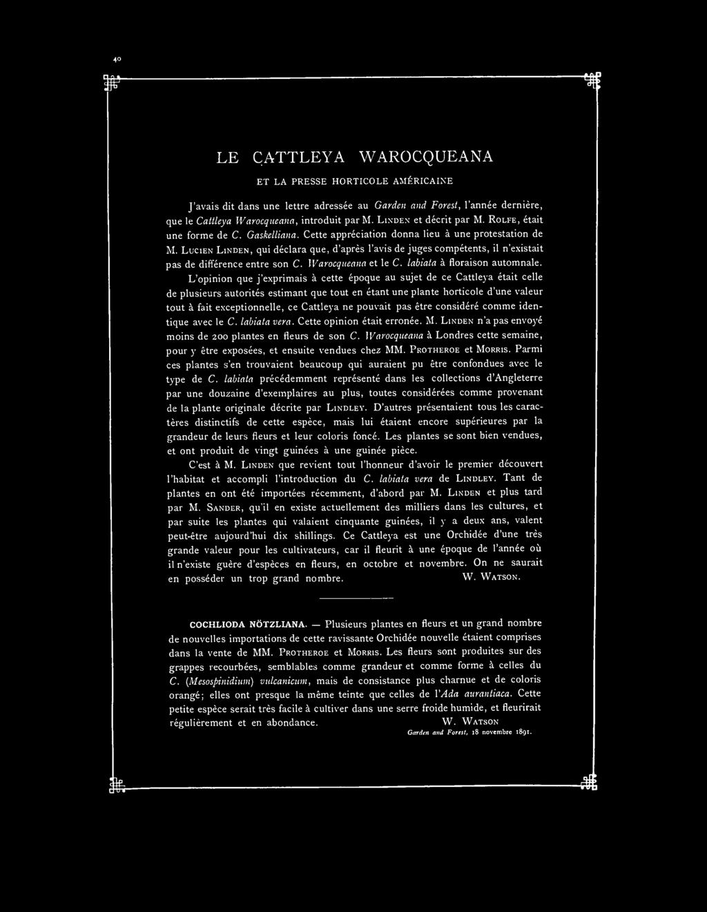 LE CATTLEYA WAROCQUEANA ET LA PRESSE HORTICOLE AMÉRICAINE J'avais dit dans une lettre adressée au Garden and Forest, l'année dernière, que le Cattleya Warocqueana, introduit par M.