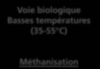 Basses températures (35-55 C) Méthanisation Voie thermique Haute température (700 C) Gazéification +