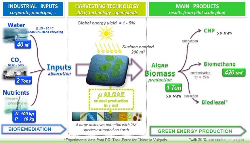 Gaz acheminés (3/5) biométhane d algues Perspective après 2020 : combiner traitement des effluents et biométhane Encore au