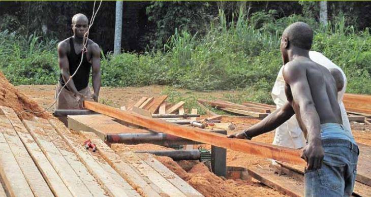 - vendeurs : il s agit des propriétaires de dépôt de bois dans un point de vent - machinistes (Fig 5) : Photo Lescuyeret Cerutti Fig. 5 : Machinistes en activité.