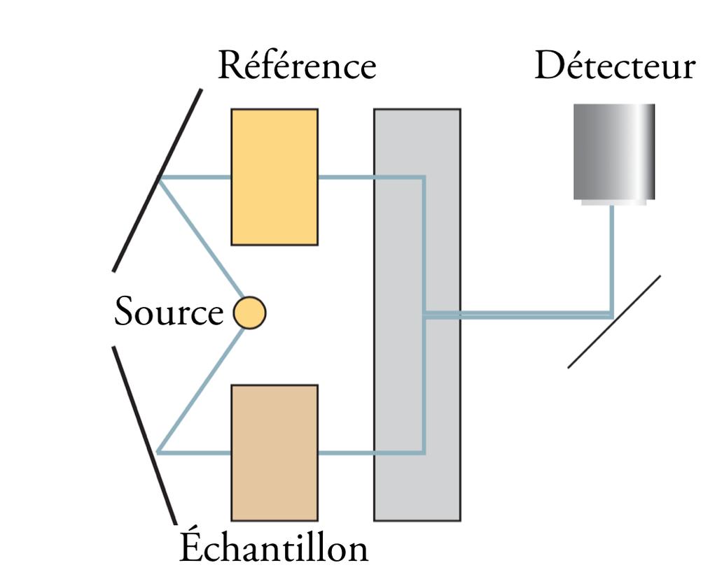 Figure 3: Schéma du spectromètre UV-Visible 2.2 Le spectromètre UV-Visible Le spectromètre UV-Visible comporte plusieurs parties comme illustrée sur la figure 3.