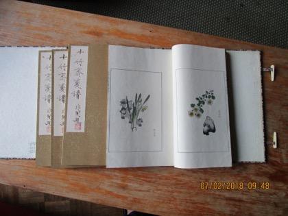 fleurs et oiseaux Reliure à spirales 24 août 2006 Fu Jing Yang Feng Chen Yu Sun Editions Philippe Picquier Mon premier livre de peinture chinoise Enfants