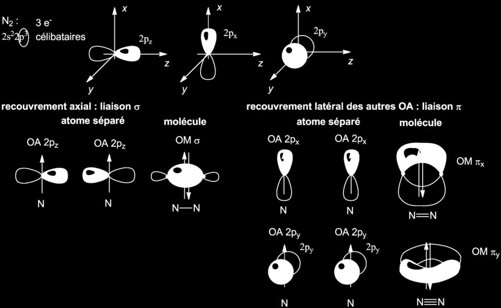 b. Recouvrement latéral : OM de type Figure 2 : Représentation des orbitales de valence atomiques et moléculaires dans la molécule de diazote Définition : c.