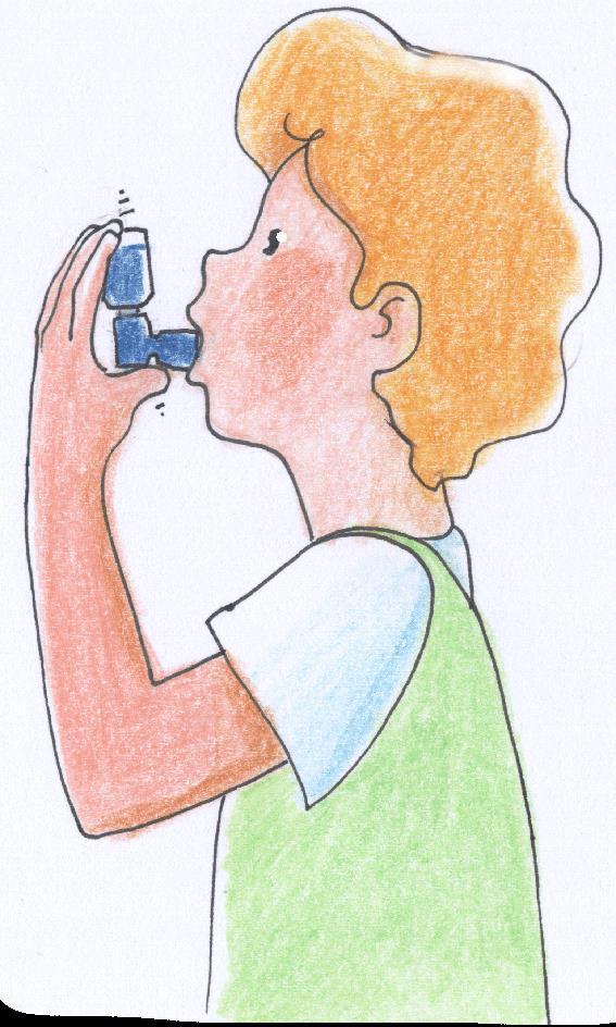 Que se passe-t-il lors d une crise d asthme?