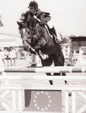 Taille et épreuves d élevage La plupart des standards de race des poneys à vocation sportive (Connemara, New-Forest, Welsh et Poney Français de Selle) n excèdent pas 1,48 m.