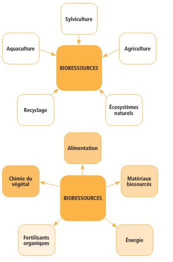 Origines & Utilisations de la biomasse Elles permettent le développement de filières locales