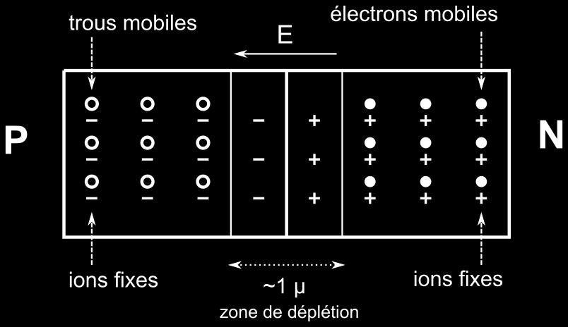 mutuelle Zones de déplétion Champ électrique (barrière de potentiel) Champ opposé