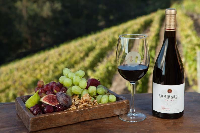 LE SAVIEZ-VOUS? Cépage connu depuis l époque romaine, le syrah donne des vins rouges opulents. ADMIRABLE Vigneronne est un vin fruité, avec des notes de vanille et d épices.