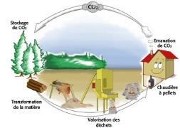 Dimensionnement de système de chauffage par biomasse.