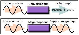 I. Nature d un signal I.1 Qu est-ce qu un signal? Un signal est une représentation physique d une information (température, heure, pression ).