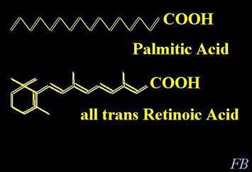 Ac. palmitique Acide