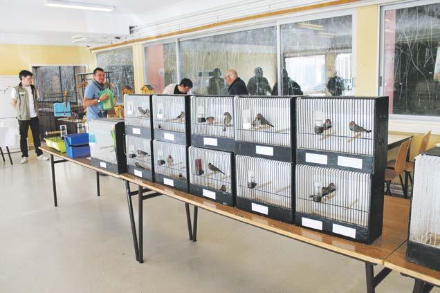 Bourse aux oiseaux organisée par l association Le Rossignol le 15 avril 2018 Ses sujets de prédilection sont les paysages et les natures mortes.