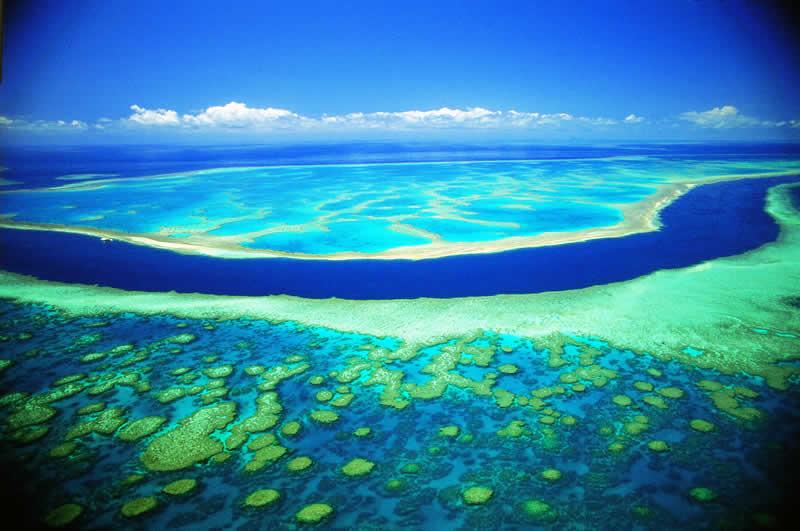 1994 : l ICRI, l Initiative Internationale pour les Récifs coralliens et écosystèmes associés est créée suite à l association des Etats-Unis, des Philippines, du Japon, de l Australie, de la France,