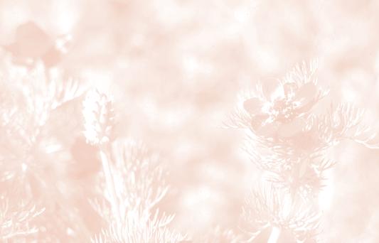 Tableau 2 : Périodes de levée ou d émergence et cultures affectées de la flore adventice pluriannuelle et vivace en région Midi-Pyrénées Périodes de levée Principales cultures affectées automne hiver