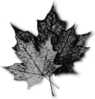 Canada drapeau mapel leaf canadian rouge blanc bretelles homme porte-jarretelles