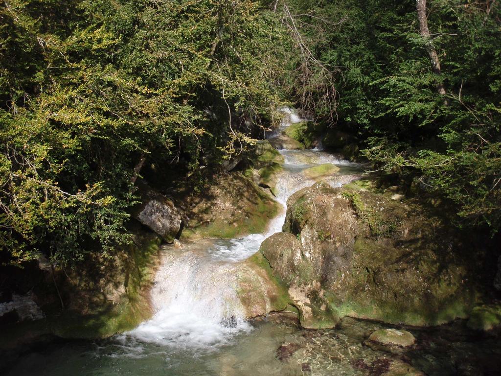 Au Fil de l'eau n 2 On nomme «ripisyle» l ensemble des arbres et arbustes riverains d un cours d eau.