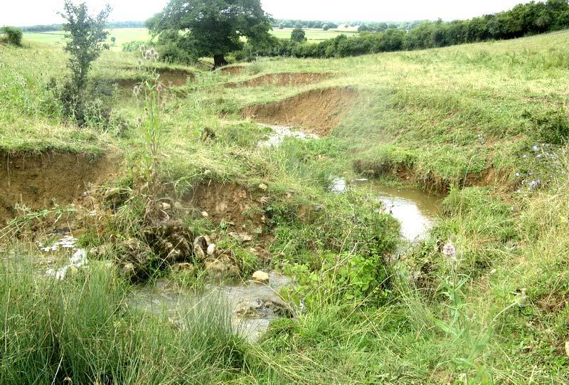 Illustration 20 : érosion de berge dans la Nièvre (photo BRGM). 4.2.3.