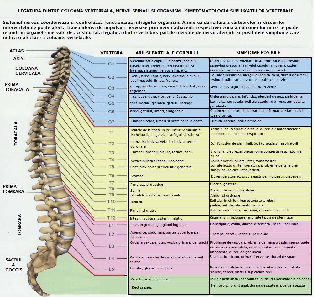 legătura dintre prostatita și coloana vertebrală