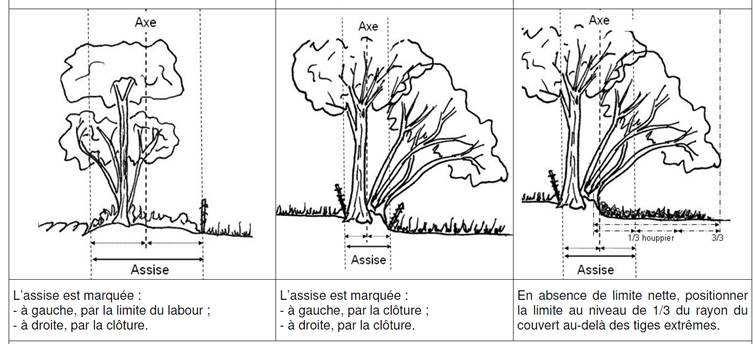 pouvoir la comparer aux accroissements biologiques mesurés en Bretagne dans les forêts de feuillus.