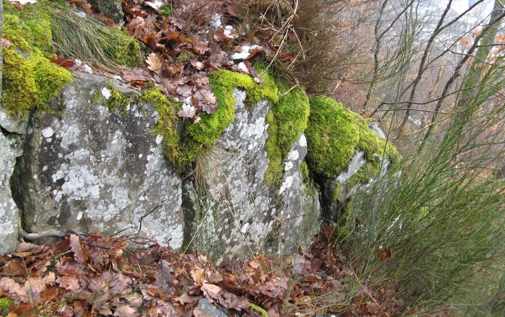 Secteur d apparence instable Illustration 8 : vue de la partie aval du massif rocheux (photo BRGM).