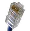 femelle, Beige Câble Ethernet RJ45 X 1