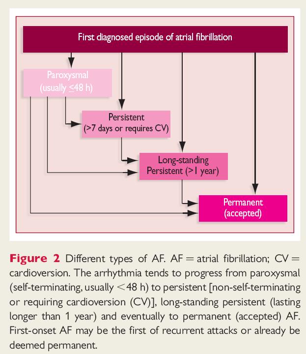 Classification de la Fibrillation Atriale Long-standing persistent
