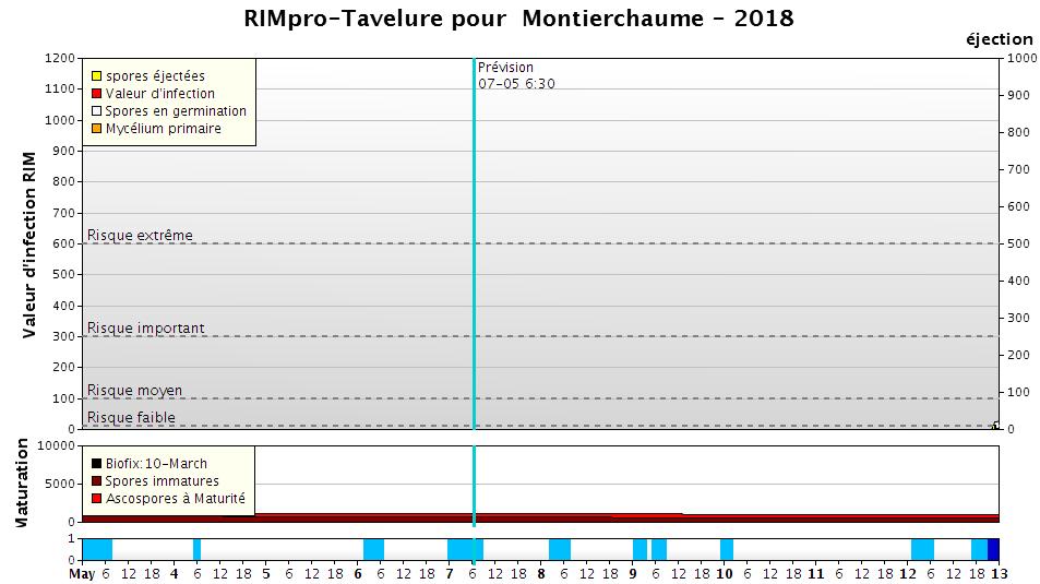 Montierchaume (36) Biofix : 10/03 contamination est nul pour la période du 4 au 7/05.  Etat général contamination a été nul pour la période du 4 au 7/05 sur l ensemble de la région.