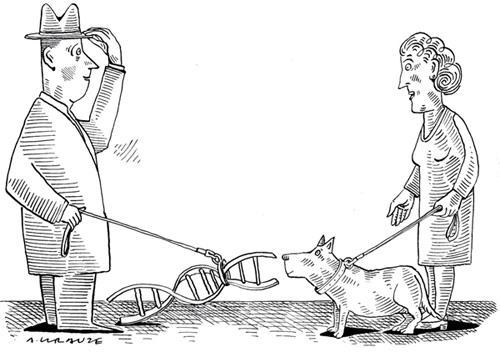 Le chien et son génome, par Andrzej Krauze ( octobre 2006).
