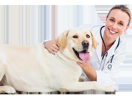 Pour la personne qui administre le médicament Rapprochez vous de votre vétérinaire pour tout