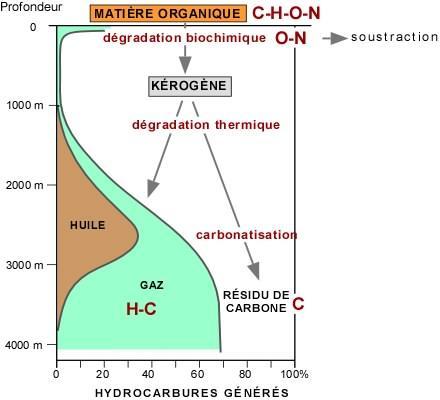 L'axe horizontal du diagramme exprime le pourcentage d'hydrocarbures générés; l'axe vertical, la profondeur d'enfouissement. Dans le premier 1000 mètres, ce sont toujours les bactéries qui agissent.