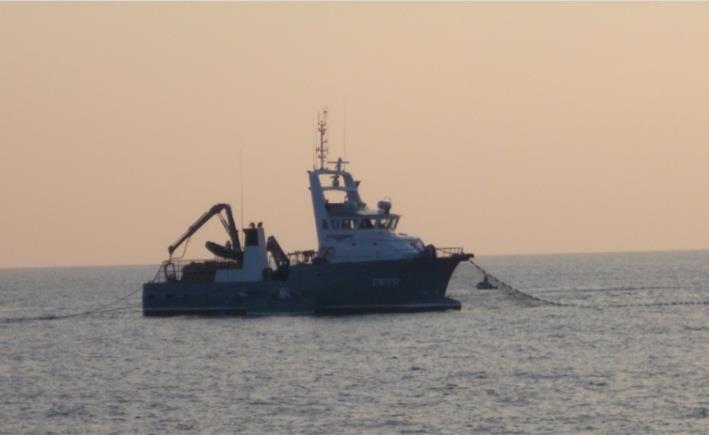 6 Faits saillants mondiaux UE / Pêche: En novembre 2018, la Commission européenne a adopté des règles modifiant les lignes directrices pour l examen des aides d État dans le secteur de la pêche et de
