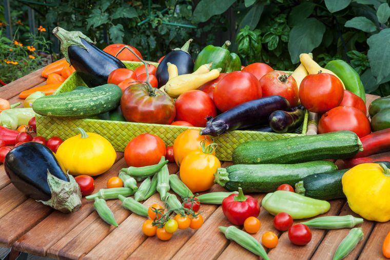 Si vous avez envie de cultiver vos propres légumes pour cet été,