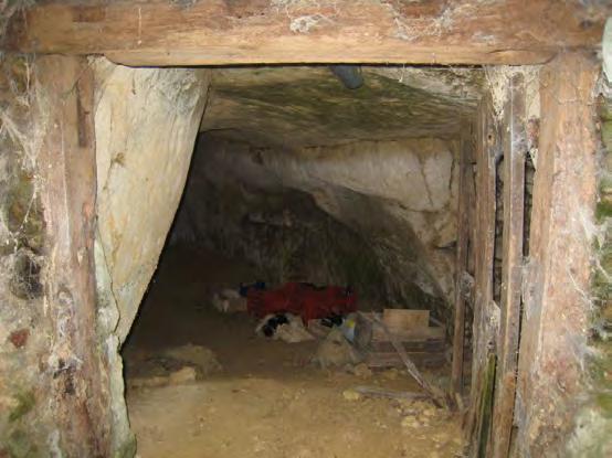 Plus à l est, aux Caves, un ensemble de huit caves est indiqué sur le cadastre napoléonien (Ind. 002, 031 à 037, source : CG49). Seules quatre caves sont encore visibles (Ind.