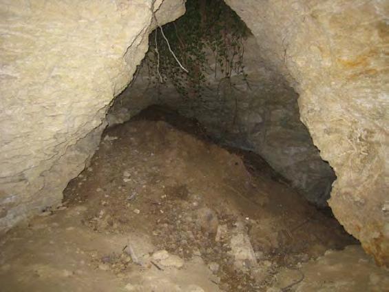 Juste au sud de Noyau, à la Chevallerie, plusieurs indices de cavités souterraines sont également présents (source : CG49). Un ensemble de quatre cavités (Ind.