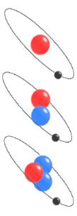 I.2) Structure atomique de la matière v) Isotopes Des isotopes d un même élément sont des espèces qui ont le même nombre de protons (même
