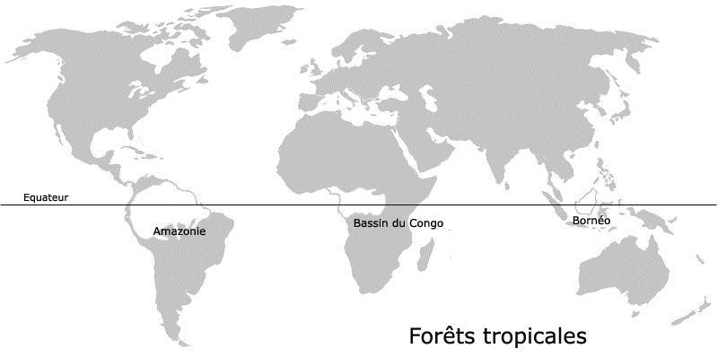 Séance 3 : Classons les animaux des forêts tropicales Colorie en vert les forêts tropicales de l Amazonie, du Bassin du Congo et de Bornéo Réponds aux questions Quelle est la ligne qui traverse ces 3