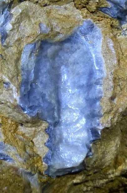 2 trouve l'origine des huitres trouvées pau sol. La paroi montre des fossiles sur une surface ridiculement petite. Ce sont des huitres dont l'ouverture a une forme dentelée.