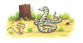 sirop Serpent aux