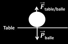 Lorsqu une balle est posée sur le sol, elle est soumise à l attraction terrestre dont la force est symbolisée par P balle.