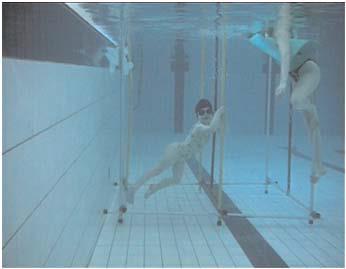 - rester le plus longtemps possible sous l eau (adapter sa respiration) A l aide de la cage (d une échelle ou d une perche, descendre