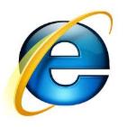 application * Internet Explorer est le navigateur recommandé pour
