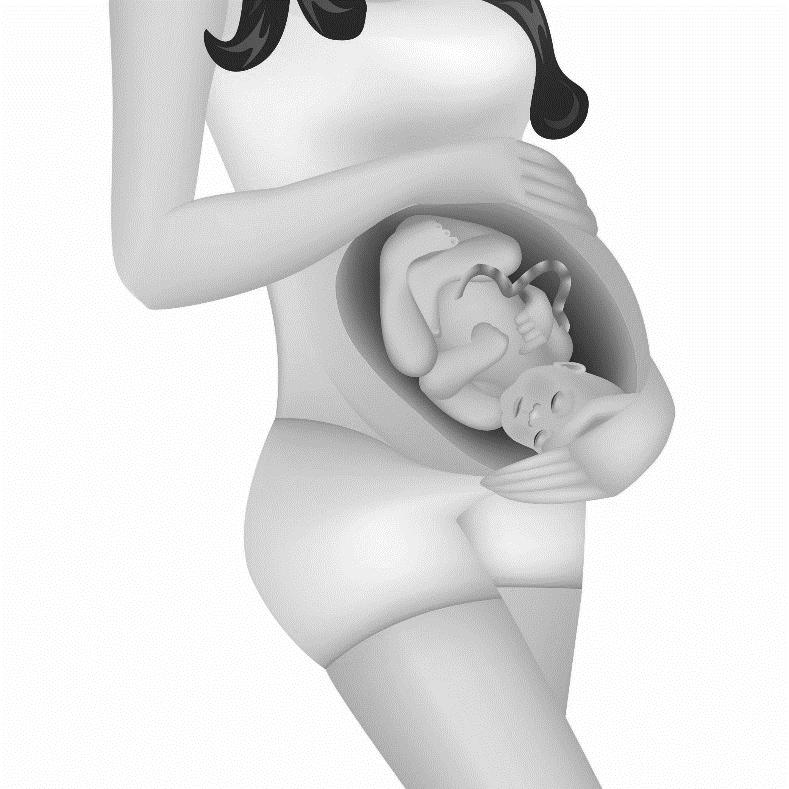 Nom : 6 e année Développement du bébé Promouvoir le sain développement fœtal Créez une annonce qui fait la promotion du sain développement fœtal. 1.