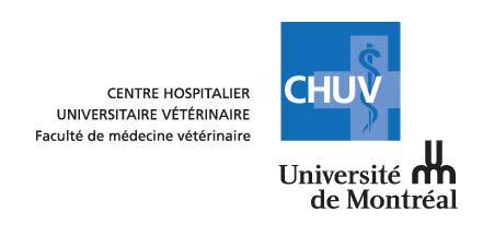 Le centre hospitalier vétérinaire de l université de Montréal Son