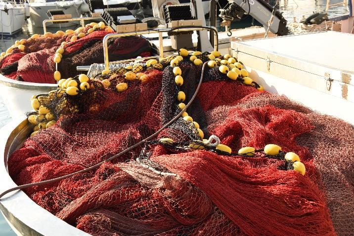 6 Faits saillants mondiaux UE / Pêche: En novembre 2018, l UE, les Îles Féroé, la Norvège et l Islande ont conclu un accord sur les mesures de gestion du merlan bleu et du hareng atlantoscandien pour