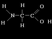 Il existe 20 AA différents qui tous se caractérisent par un pôle acide et un pôle amine, et chacun par son résidu R : 2) Illustrez votre réponse précédente en donnant les formules développées