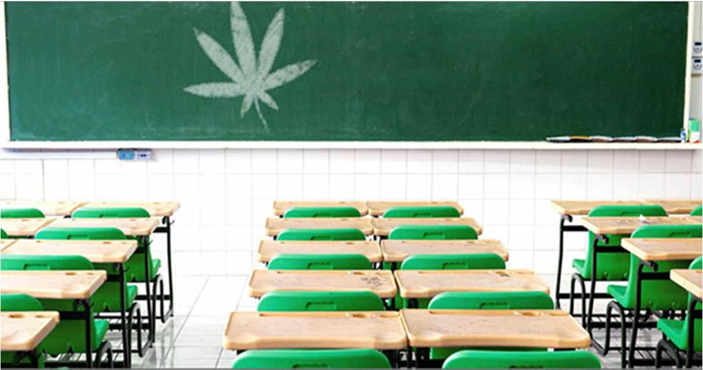 Consommation de cannabis et l école 7% répondent