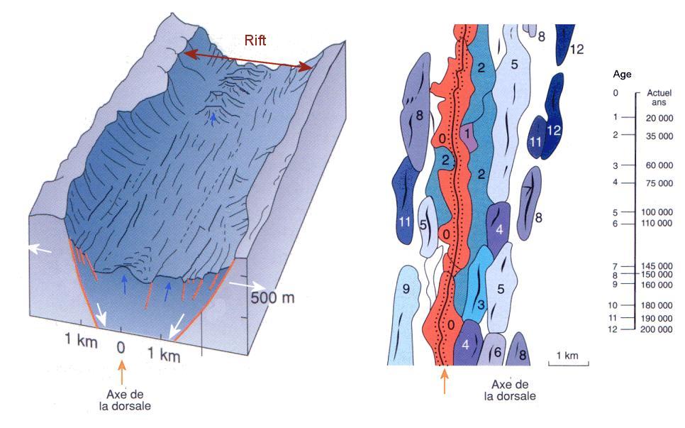 Cartographie des basaltes